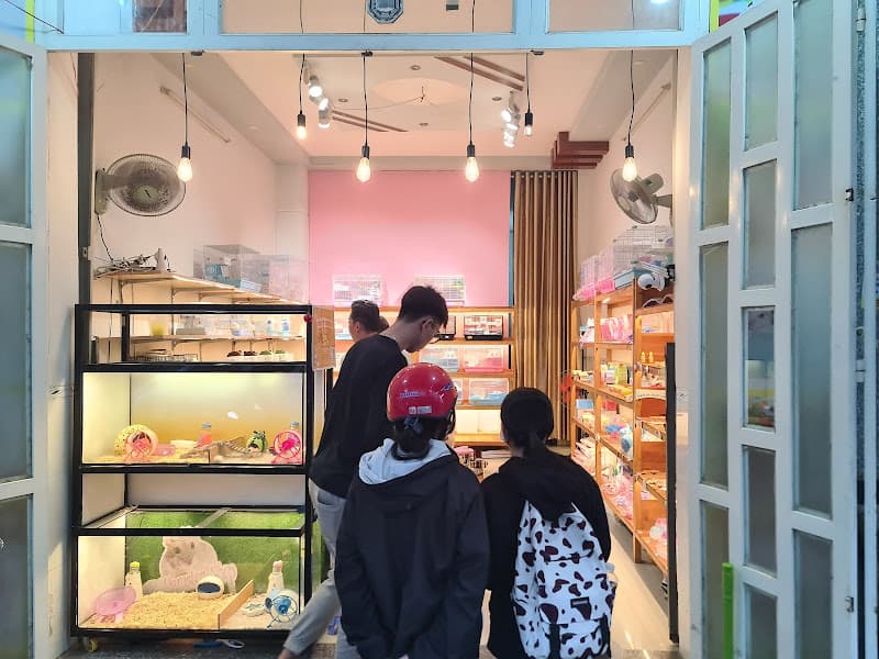 Hình ảnh PS Hamster Shop- Hamster Cần Thơ - 5