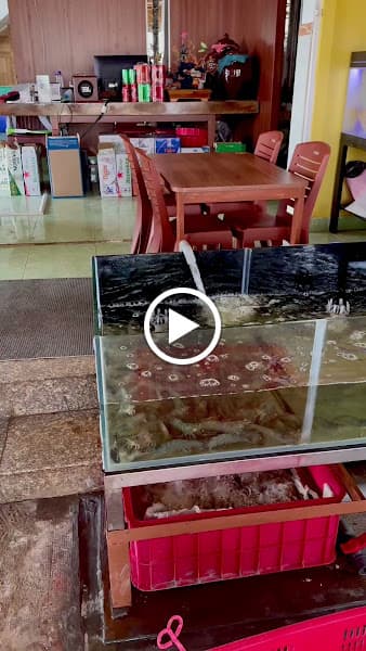 Hình ảnh Hải Sản Ốc Mộc - 2