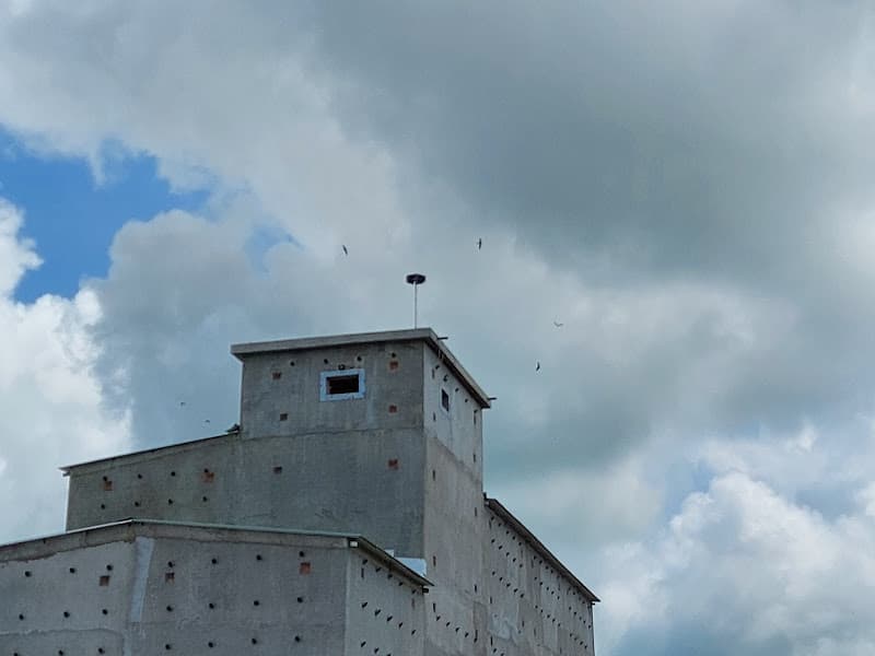 Hình ảnh Công ty TNHH Yến Ba Phi (Yến Sào Ba Phi Tp HCM) - 5