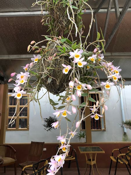 Hình ảnh Cafe Karaoke Dương Hiếu. - 3