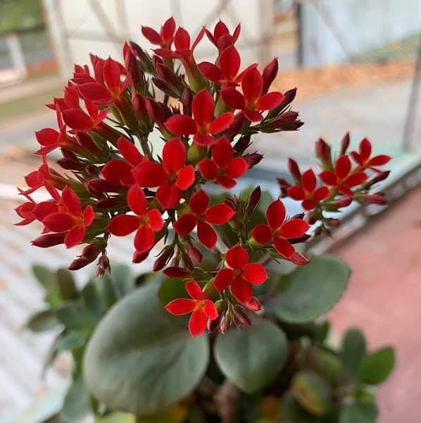 Hình ảnh Karaoke Phương Hùng - 5