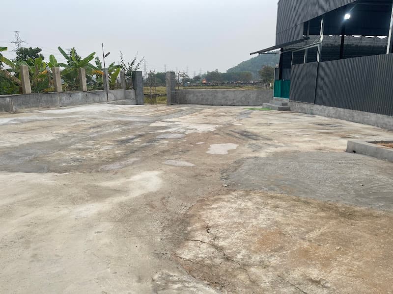 Hình ảnh Pickleball T&T - 7