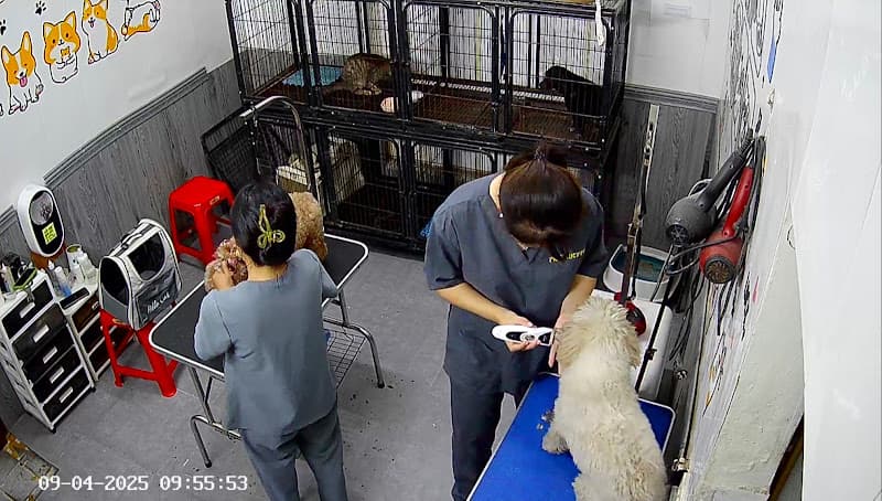 Hình ảnh LUCYPET - Petshop & Dịch vụ thú y Thái Nguyên - 5