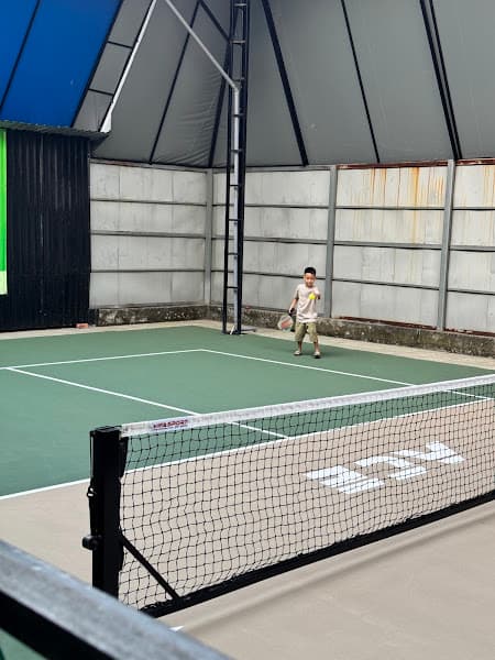 Hình ảnh A29 Pickleball - 5