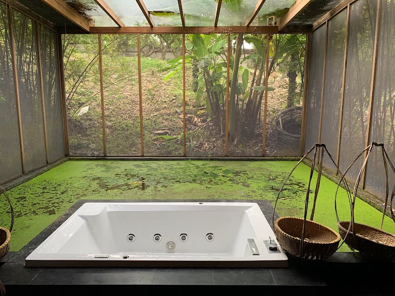 Hình ảnh Khu rừng cổ tích - 2