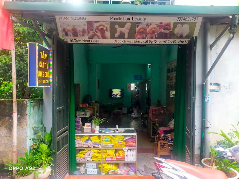 Hình ảnh Spa thú cưng Tuyên Quang - Tiệm cắt tỉa lông chó ( Phạm Nương) - 5