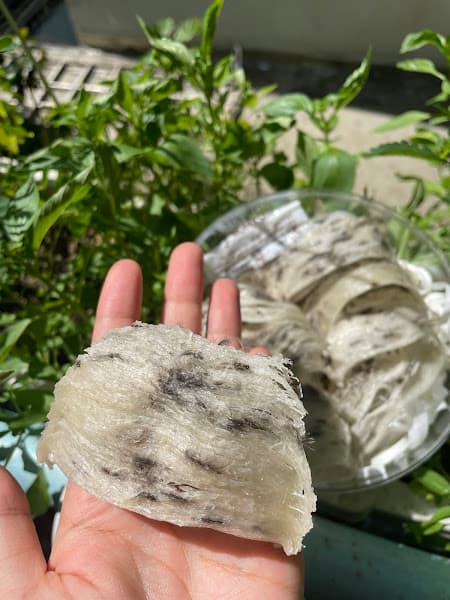 Hình ảnh Yến Sào Từ Khánh - 2