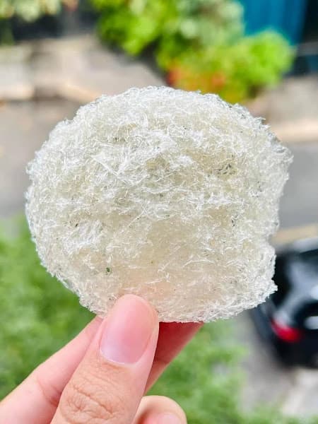 Hình ảnh Tổ Yến Sào Không Gian | Tổ Yến Thô, Yến Tinh Chế, Yến Chưng Sẵn | - 2