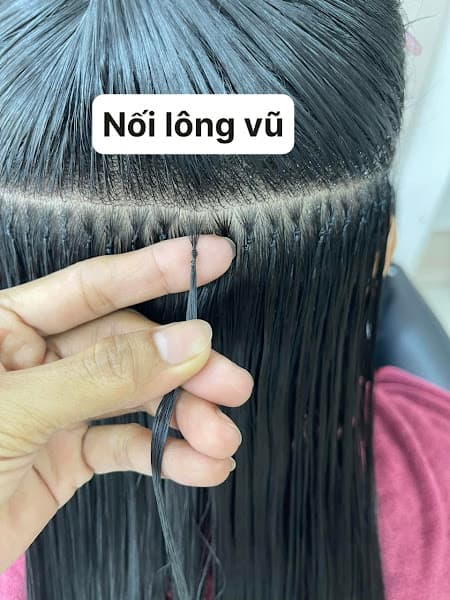 Hình ảnh NỔI TÓC Quốc Toàn - 5