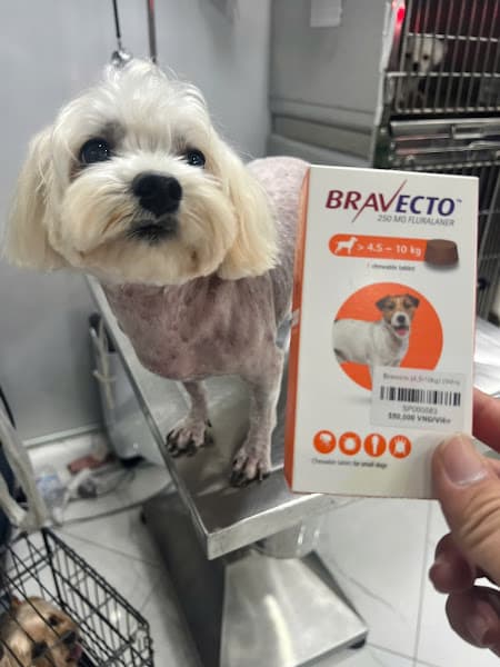 Hình ảnh Phòng khám Thú y Thanh Đàm - 3