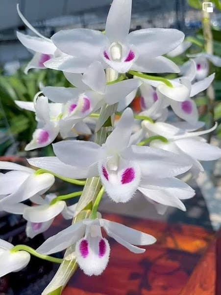 Hình ảnh Cafe karaoke Hoàng Hôn - 3