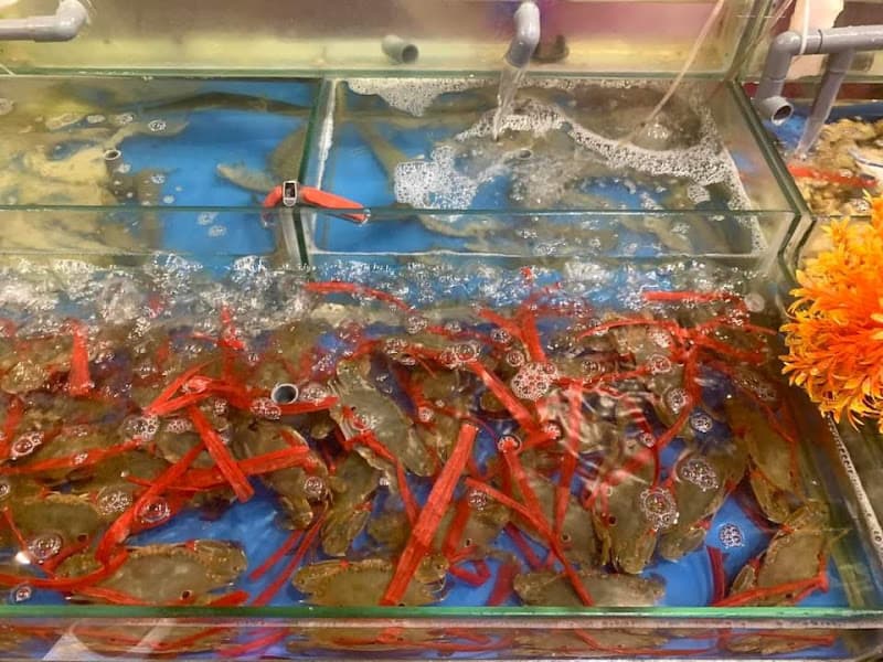 Hình ảnh Anh Tuấn Buffet Hải Sản 179k - 5