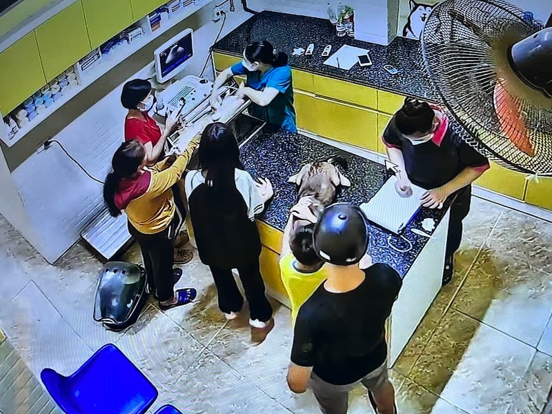 Phòng khám thú y Vnpet Gang Thép