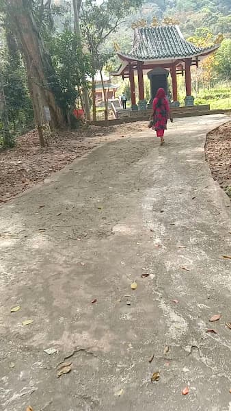 Hình ảnh Khu di tích lịch sử Tỉnh Ủy Gia Lai (Khu 10) - 4