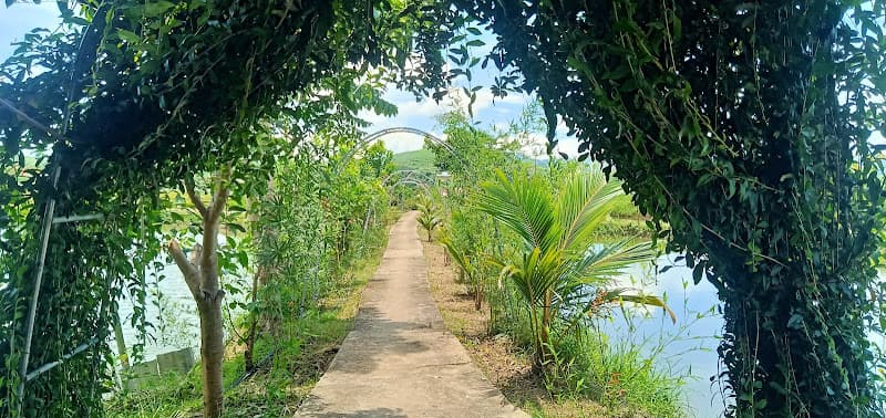 Hình ảnh Xuyến Cá - 7