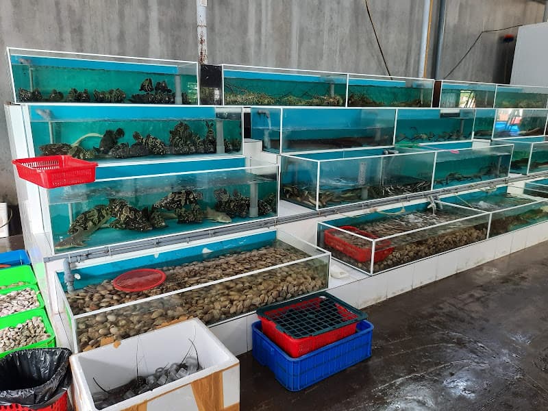 Hình ảnh Hải sản Sao Biển cơ sở 1 - 4