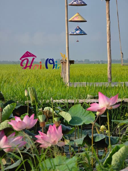 Hình ảnh Tiệm Cà Phê Hai Ơi - 3