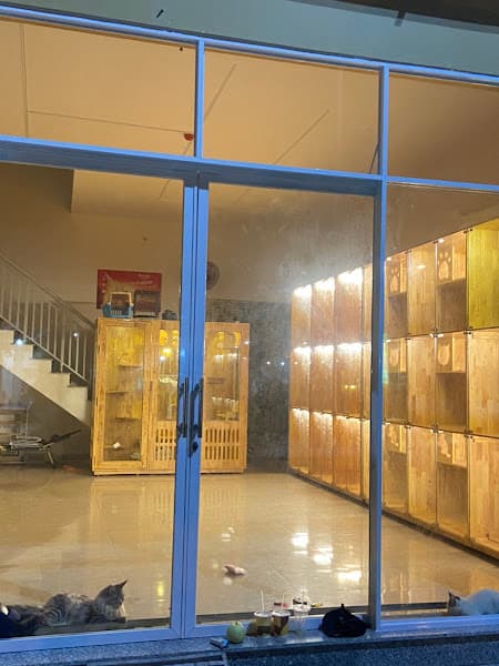 Hình ảnh Yuki Petshop - 3