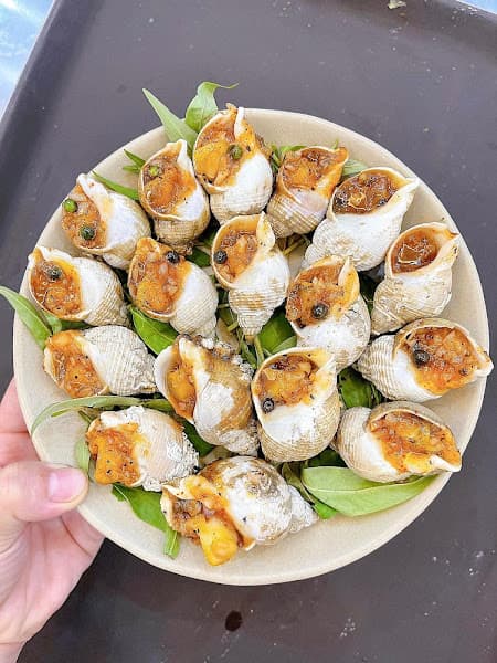 Hình ảnh Ốc đại dương - 4