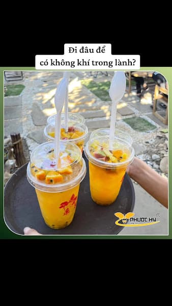 Hình ảnh Cafe Phước Hỷ - Hàng thông trăm tuổi GL - 3