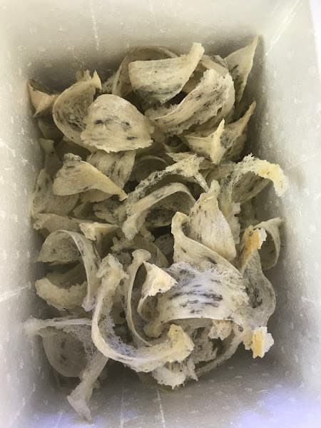 Hình ảnh Yến Sào Lai Vung - 2