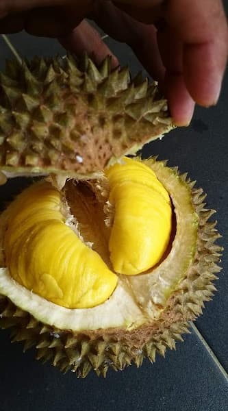 Hình ảnh Vựa Cá Khô Cà Mau - 2