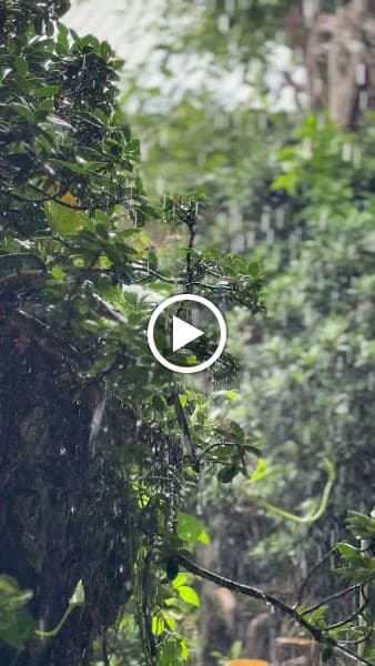 Hình ảnh Quán Nhà Lá - 2