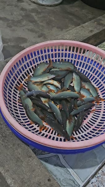 Hình ảnh Vựa Hải Sản Tâm Hường - 4
