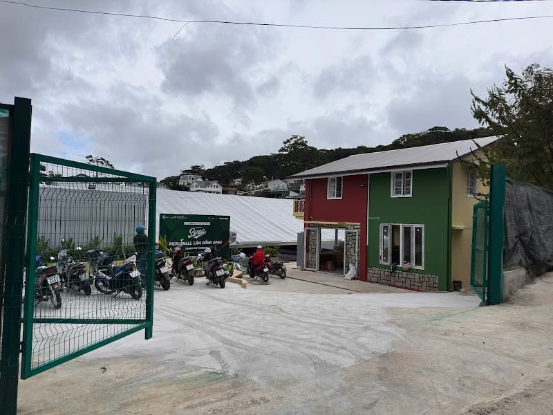 Hình ảnh S.ERA Pickleball Central Park - 5