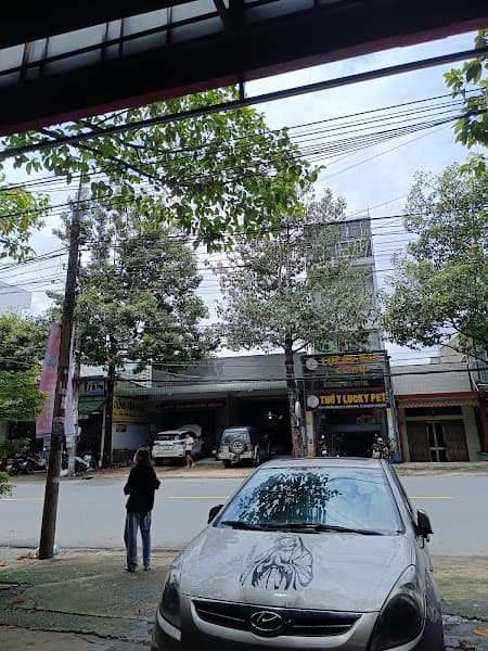 Hình ảnh Thú Y Lucky Pet - 3