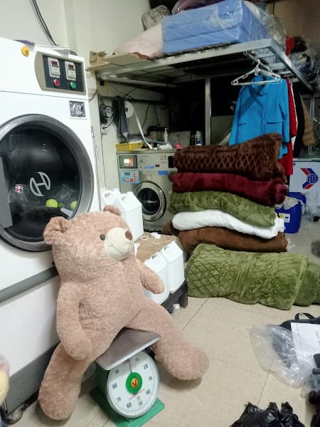 Hình ảnh Giặt là Lưu - 2