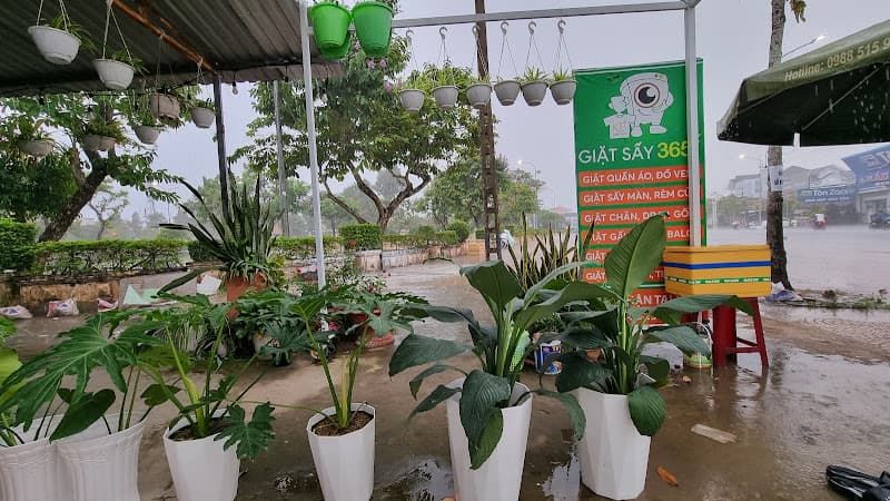 Hình ảnh Giặt Sấy Kim Bảo - 6