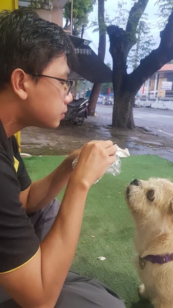 Ảnh bìa Petwin Trà Vinh - Siêu Thị Thú Cưng