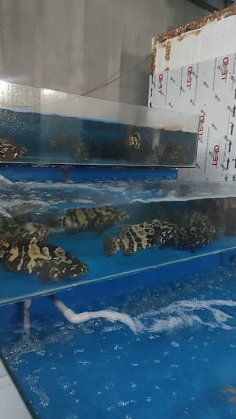 Hình ảnh Hải sản Sao Biển cơ sở 1 - 3