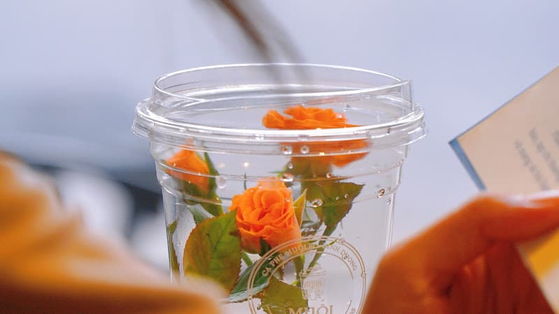 Hình ảnh MUỐI CAFE | 24 Lê Thị Trung - 2