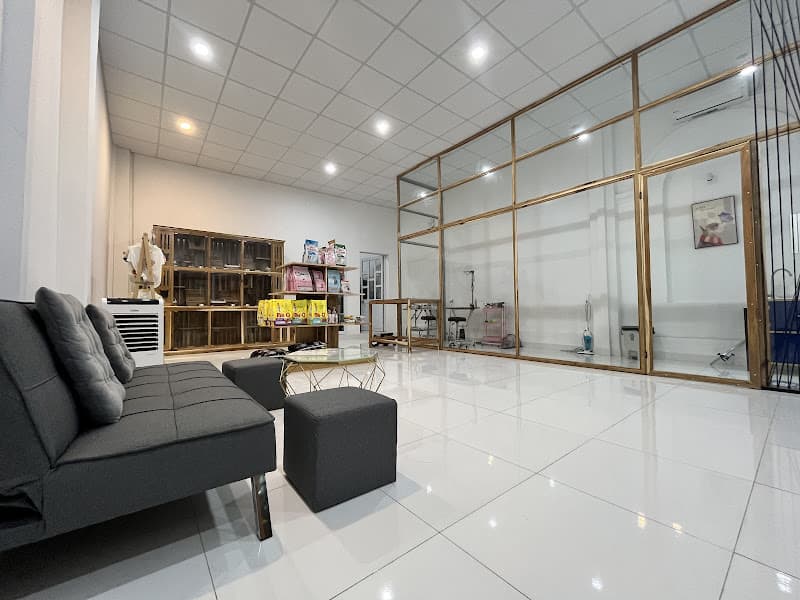 Hình ảnh DOCA'S HOUSE_Dịch vụ chăm sóc thú cưng tại Rạch Giá - 3