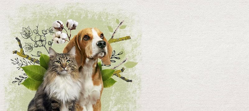 Hình ảnh LuBu PetStore - Siêu thị & Spa thú cưng - 2