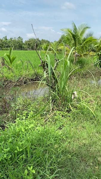 Hình ảnh HALO Farm - Happiness & Love - 2