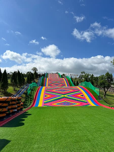 Hình ảnh Mongo Land - Đà Lạt - 2