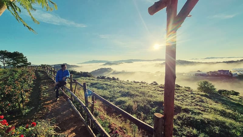 Ảnh bìa Đồi Mây Đà Lạt