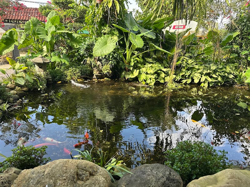 Hình ảnh Số nhà 45 ngõ 10 đường Lê Hữu Trác thị trấn Hương Khê - 4