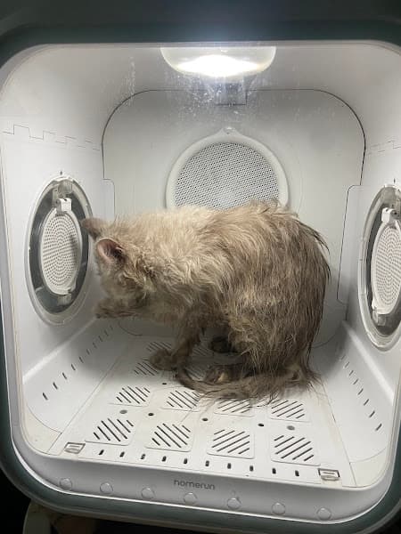 Ảnh bìa Trung tâm Thú Cưng Biên Hoà