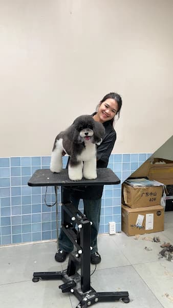 Hình ảnh Keeng Pet - Thú cưng Ninh Bình - 4