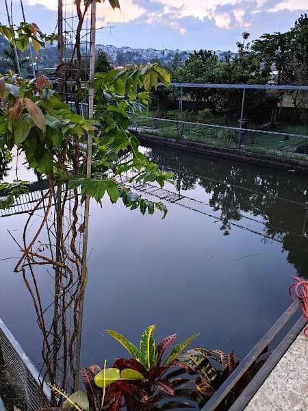 Ảnh bìa Nhà hàng Nguyễn Phương