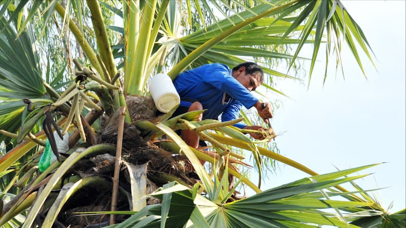 Hình ảnh Th’not - Thốt Nốt Sốt Trái Cây - 3