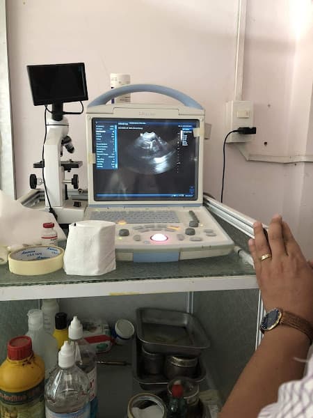 Ảnh bìa BỆNH VIỆN THÚ Y NGUYỄN LÂM