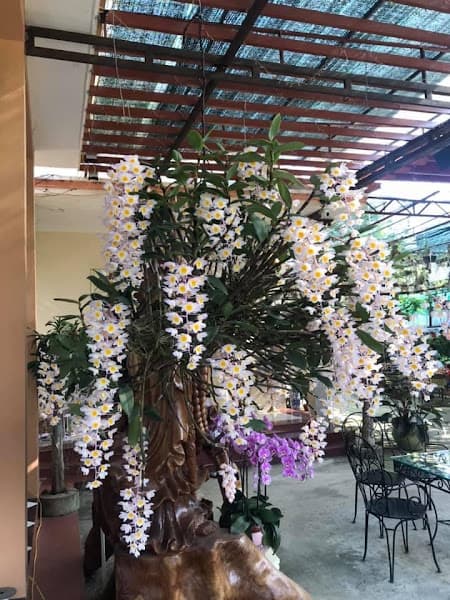 Hình ảnh Coffee & Lan - 4