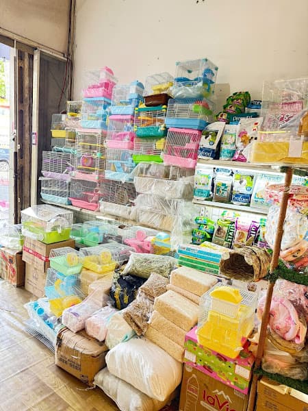 Hình ảnh BỤI Hamster Shop - 4