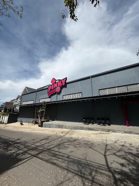 Hình ảnh PINKY pickleball - 2