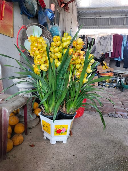 Hình ảnh Hải sản giang tươi - 4